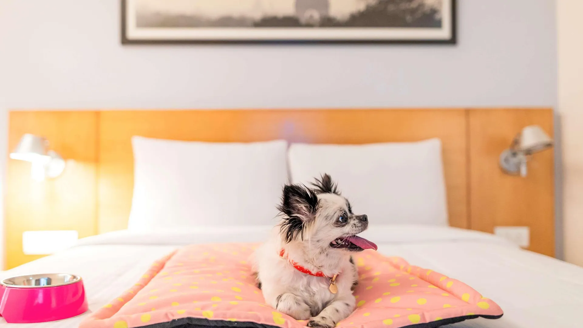 Ibis Kochi City Centre - An Accor Brand